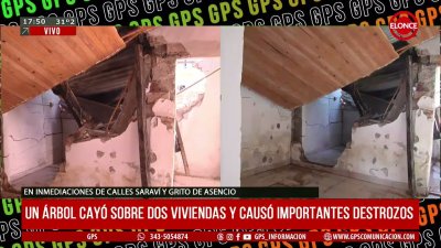 &Aacute;rbol de gran dimensi&oacute;n cay&oacute; sobre dos viviendas y caus&oacute; importantes da&ntilde;os en Paran&aacute;